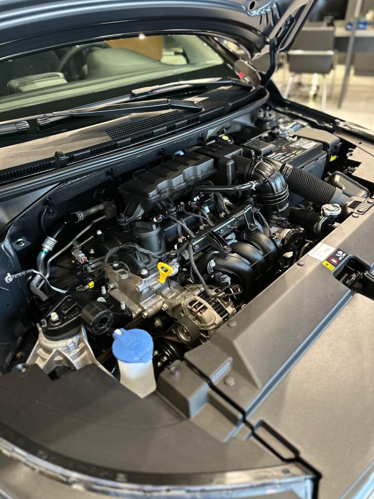 WhatsApp Image 2026-02-23 at 19.15.51